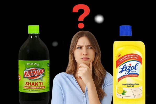 Klinol vs Lizol Klinol vs Lizol