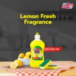 Liquid Dish Wash Combo