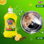 Liquid Dish Wash Combo