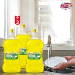 Liquid Dish Wash Combo