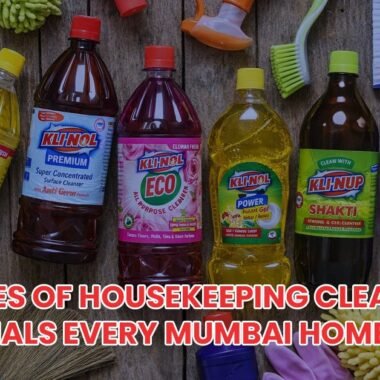 Toilet Cleaning Chemicals vs Natural Cleaners: Which One Should You Use?