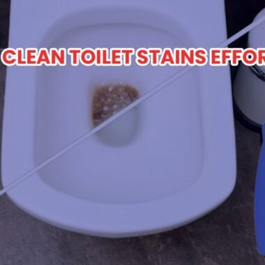 Toilet Cleaning Chemicals vs Natural Cleaners: Which One Should You Use?