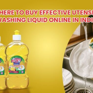 Toilet Cleaning Chemicals vs Natural Cleaners: Which One Should You Use?